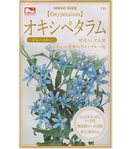 Amazon.co.jp: オンファロデス・リトルスノーホワイト 種子 2ml（育苗